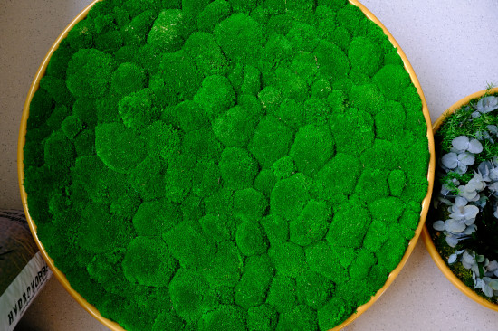 Green Moos Referenzen: Ballenmoos