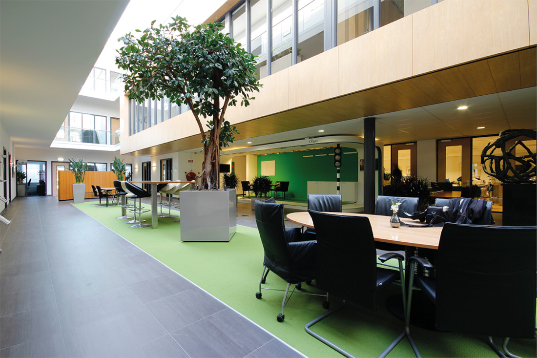 Green Moos Referenzen: Baum