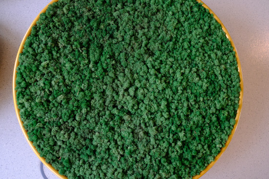 Green Moos Referenzen: Islandmoos